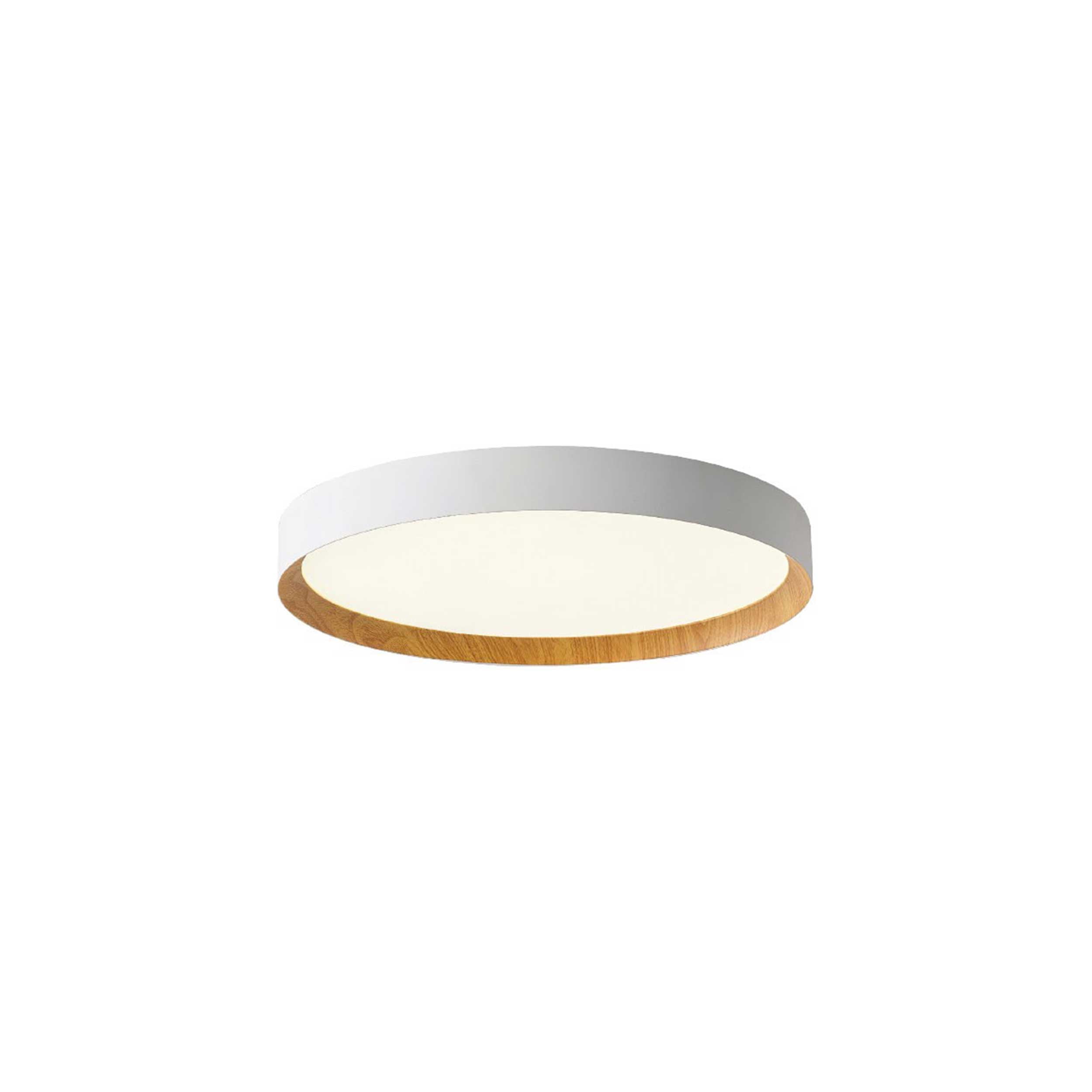 VK Light Eleso LED stropna svetilka