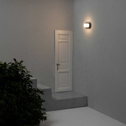 Faro Fred LED zunanja stenska svetilka IP65