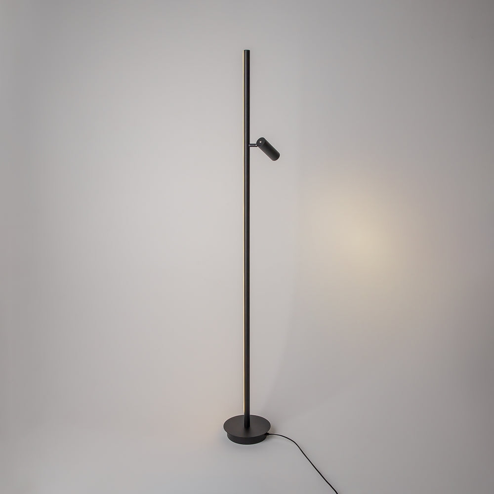 Maytoni Thin LED stoječa svetilka