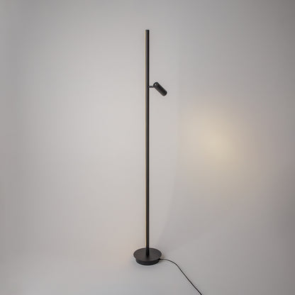 Maytoni Thin LED stoječa svetilka
