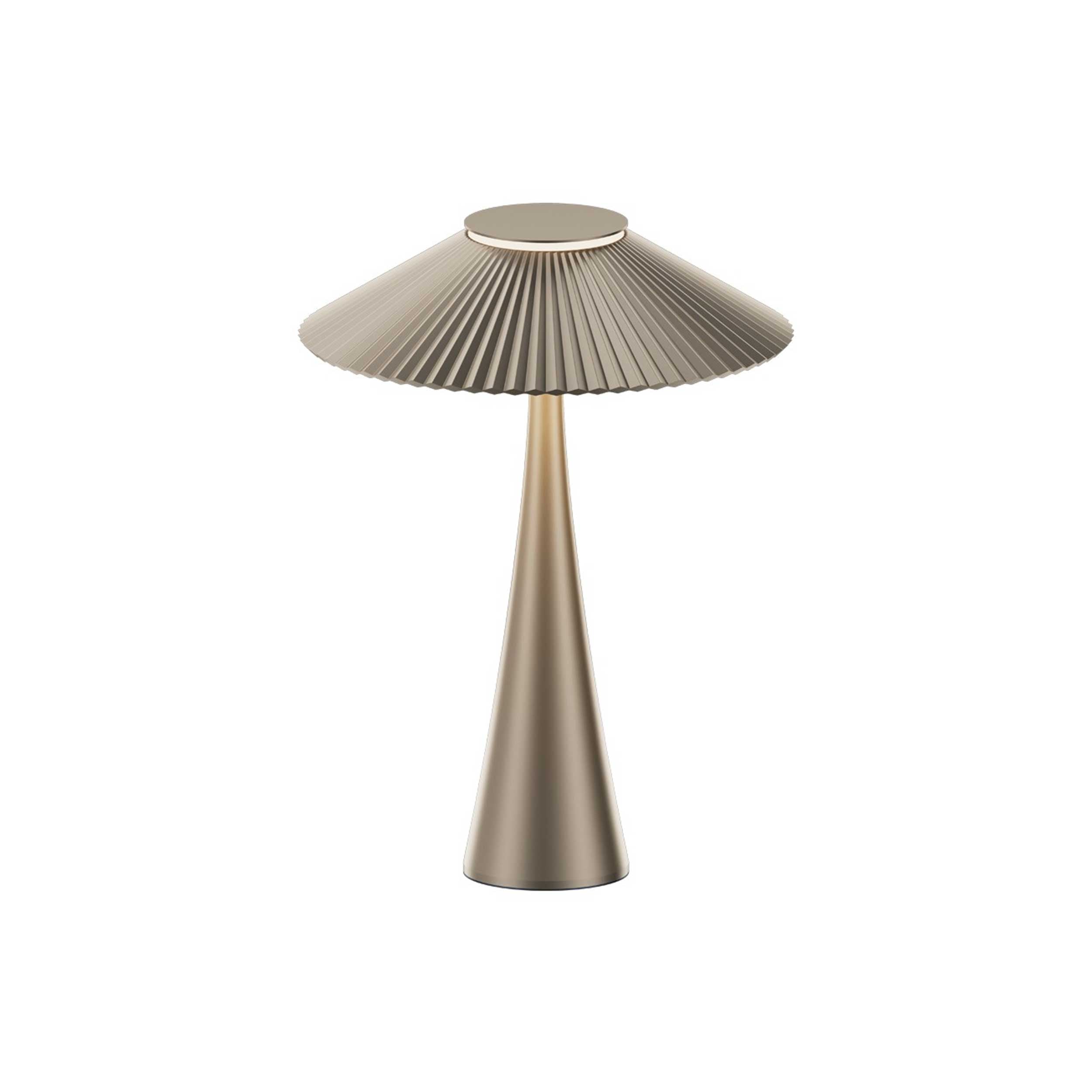 VK Light Amelie LED namizna svetilka