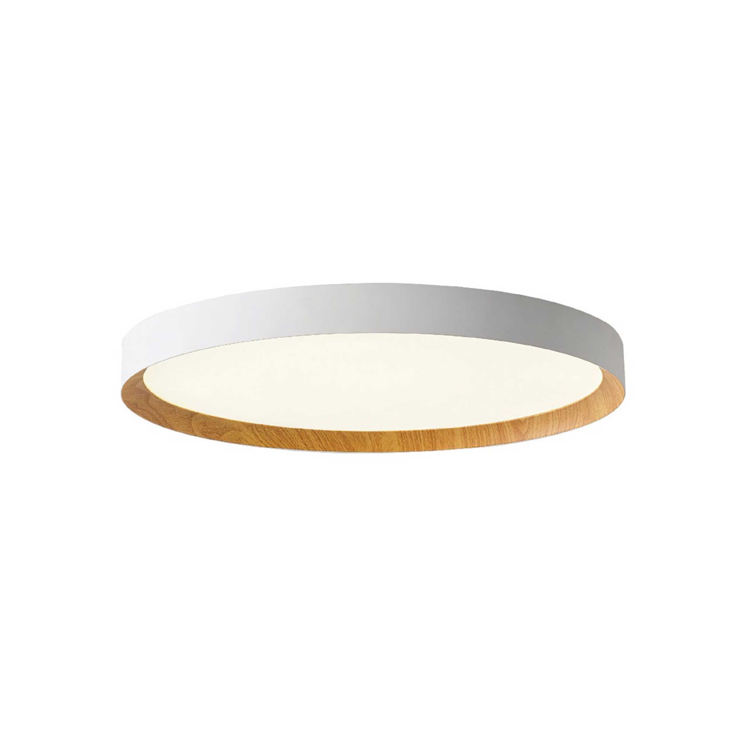 VK Light Eleso LED stropna svetilka