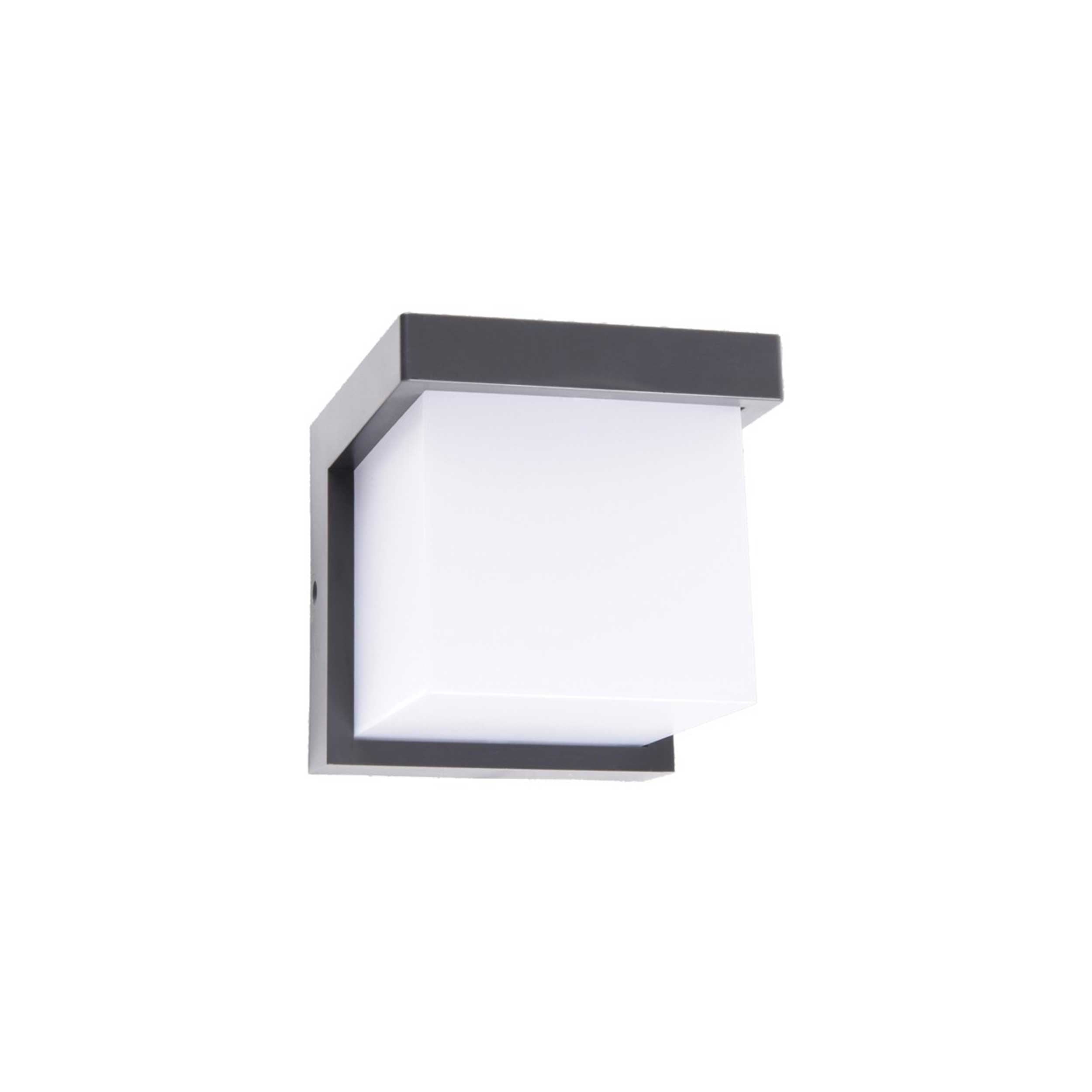 VK Light Neon LED stenska svetilka IP65, kvadratna